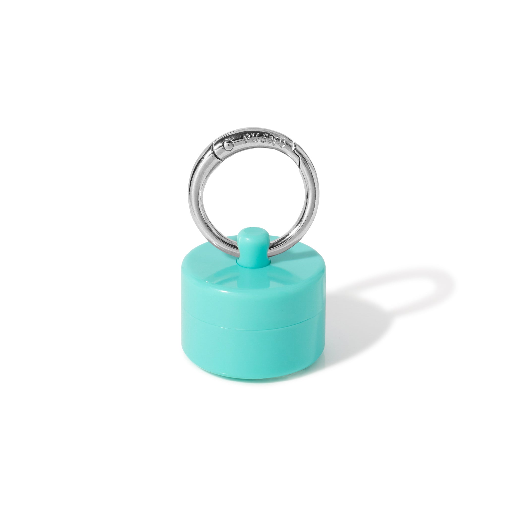 Mint Lion Latch
