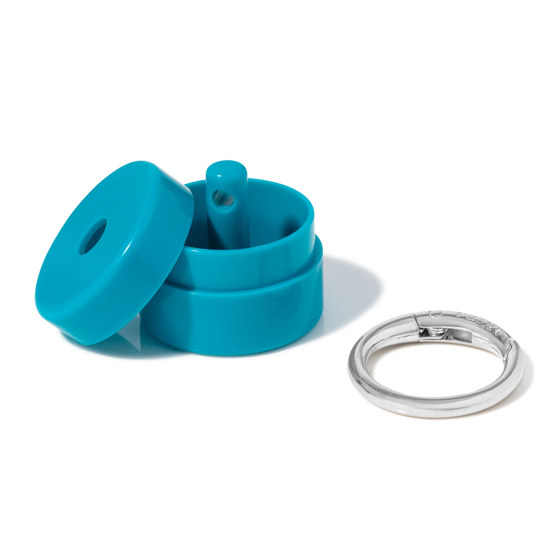 turquoise lion latch
