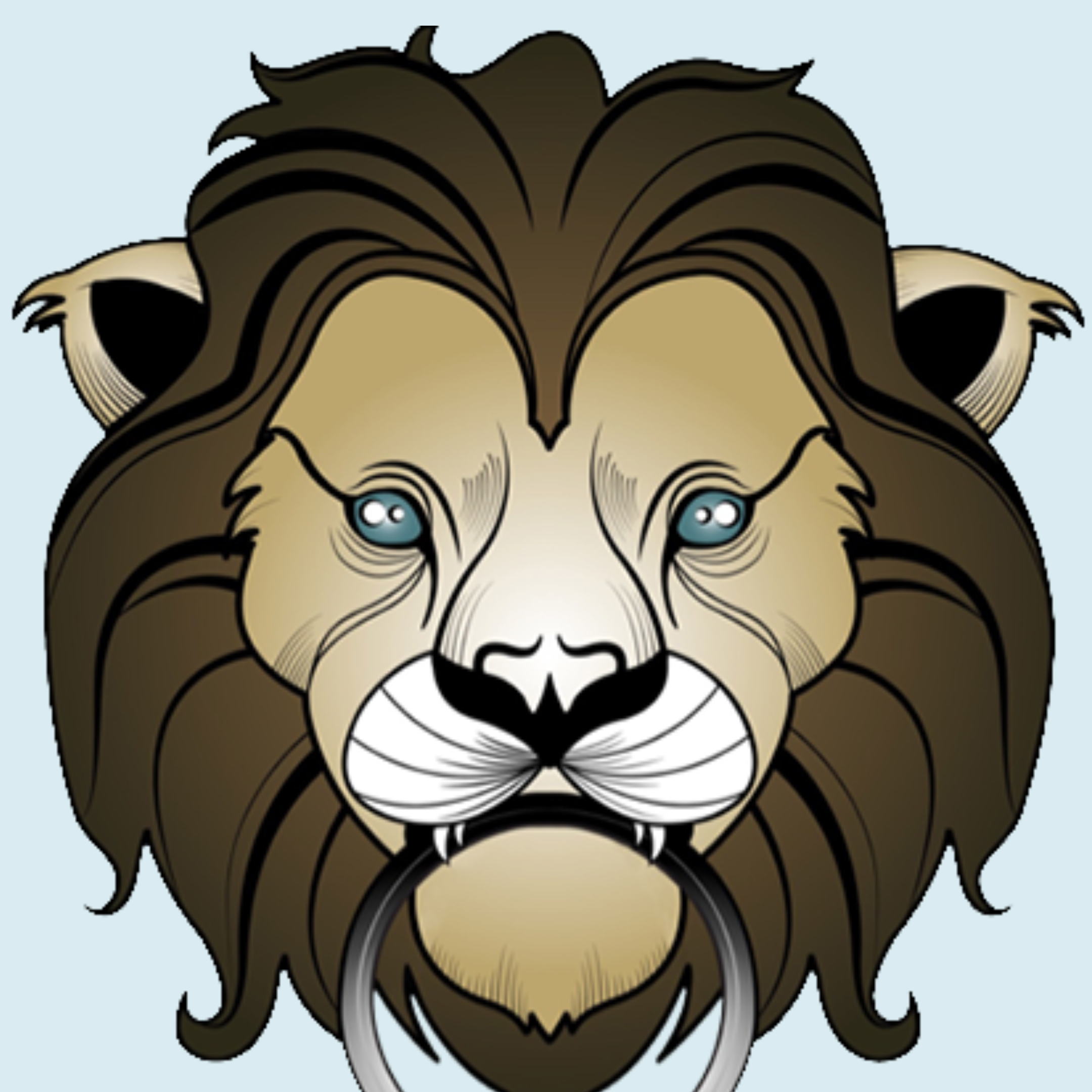 Travel Jewelry Case and Jewelry Organizer | Lion Latch